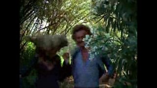 1976 – Abigail Clayton Forest House Scene