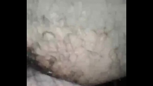 Egyptian Cock and Balls, Zeb nar